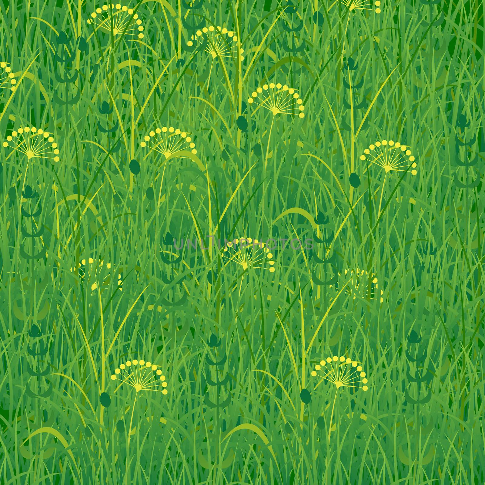 Background of grass. Plants meadows and fields. Concept summer, nature, freshness relaxation