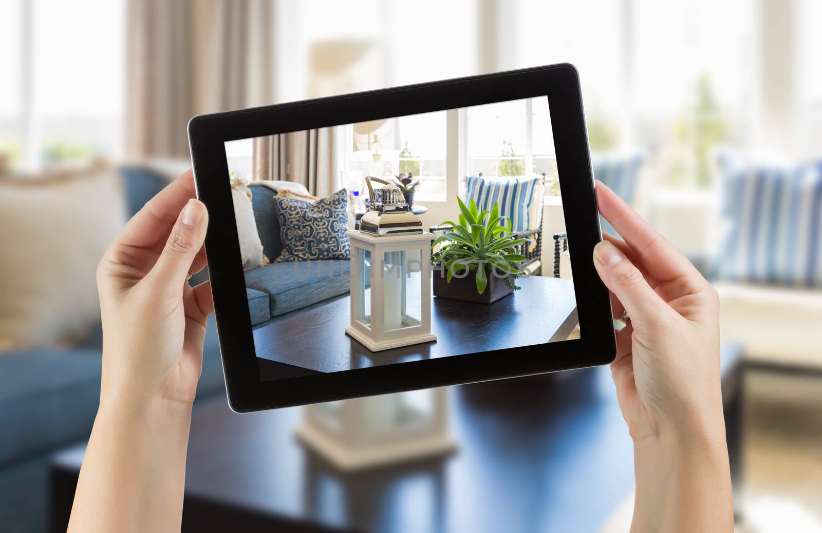 Female Hands Holding Computer Tablet In Room with Photo on Screen. by Feverpitched