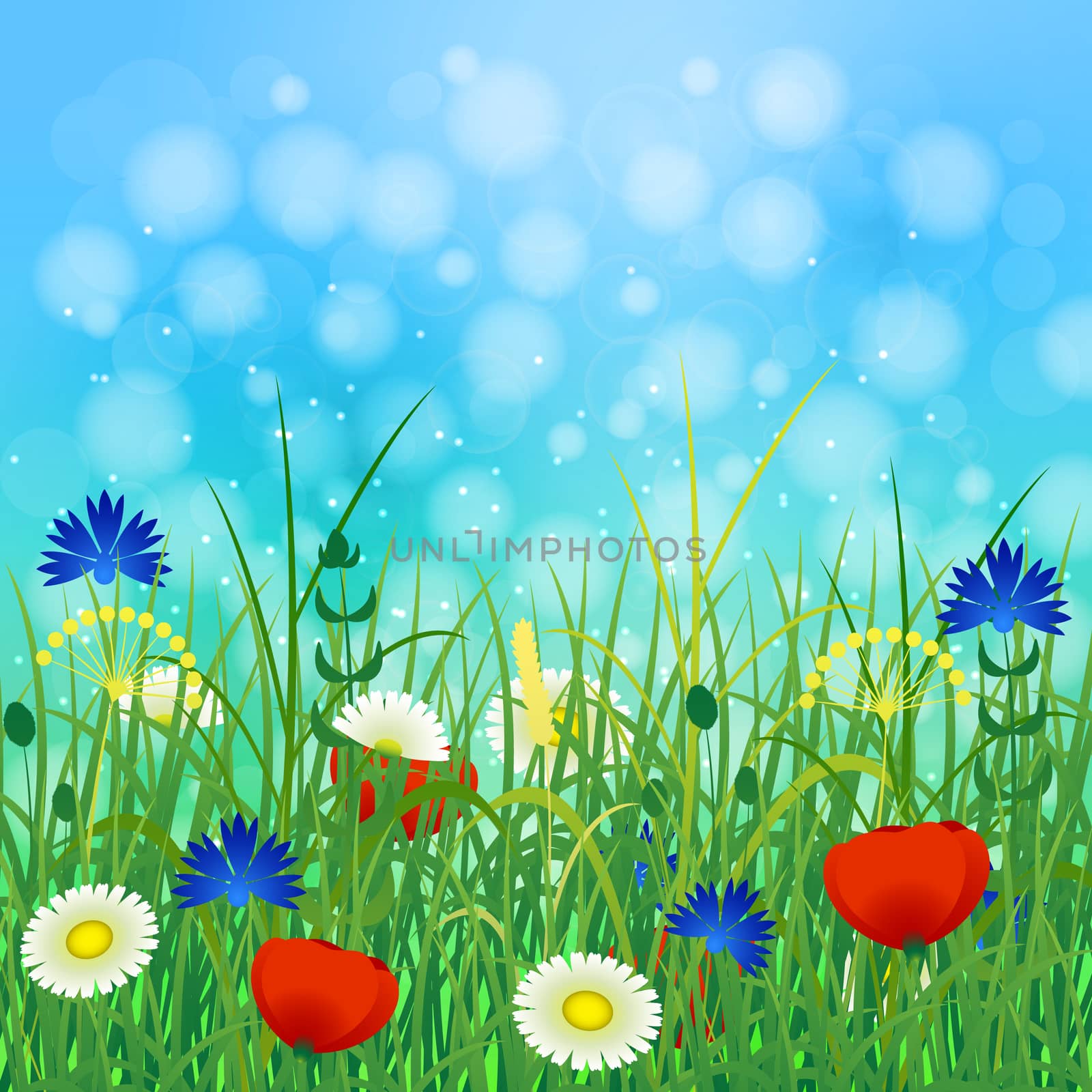 Concept Summer. Sky, blur, field grass, herbs and flowers. Rest vacation, in nature, in forest, on a country house in countryside