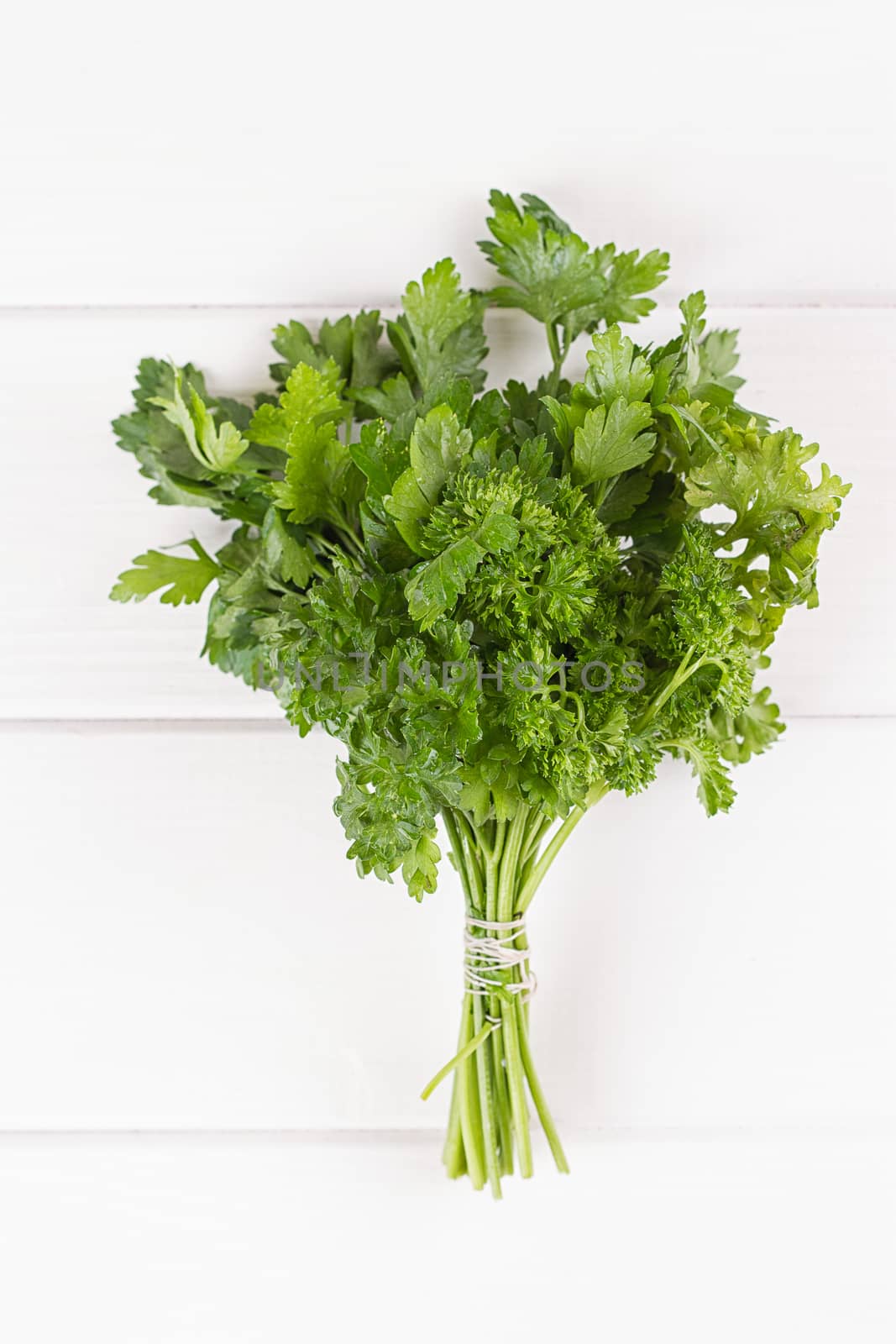 mixed bunch of fresh parsley and dill