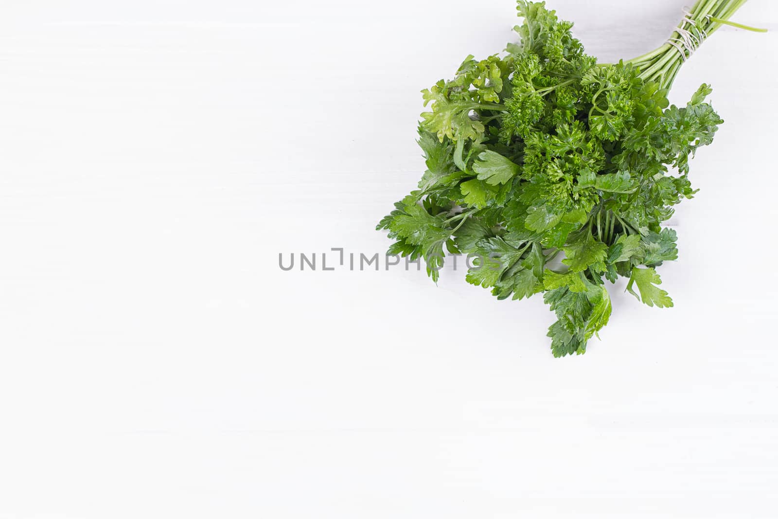 mixed bunch of fresh parsley and dill