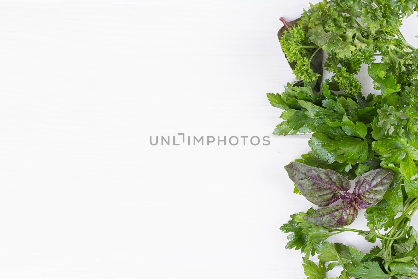 Fresh herbs frame : parsley, dill, celery, thyme, marjoram lovage tarragon sage place for text