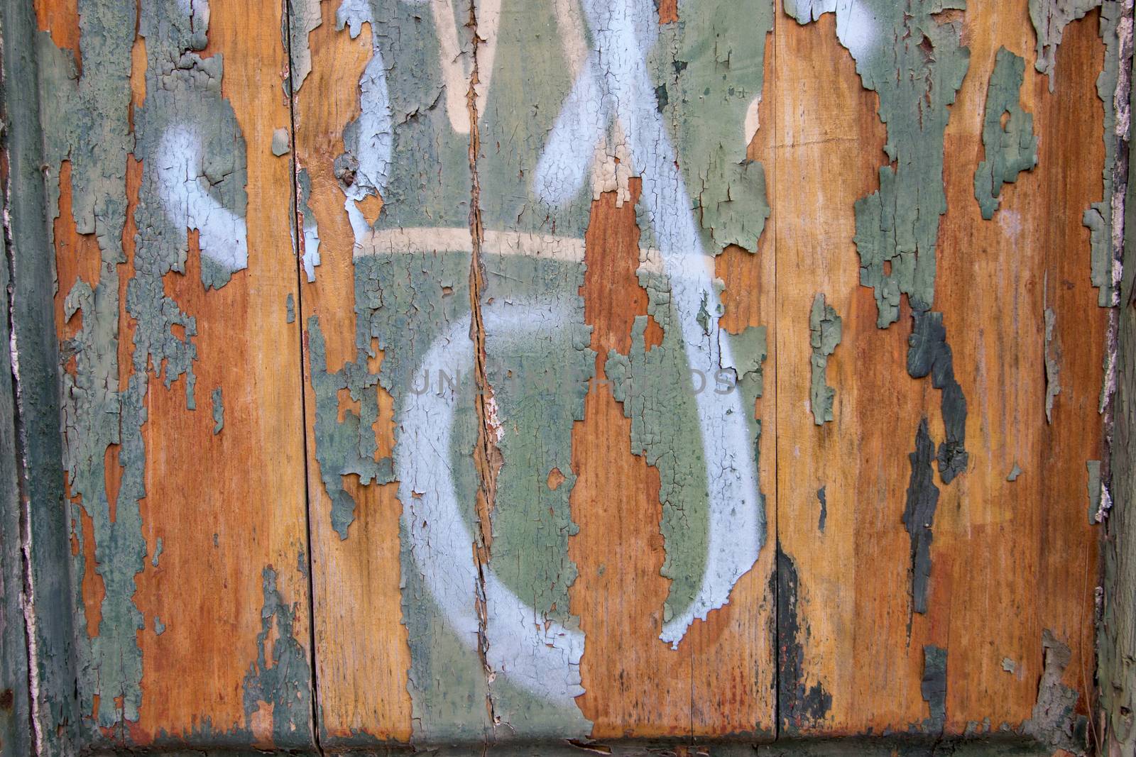 Close up view of an old wood texture with peeled paint backdrop.