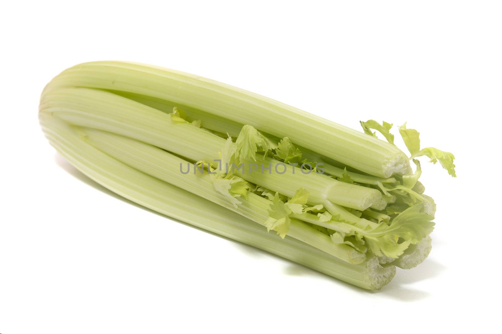 Celery vegetable on white by membio