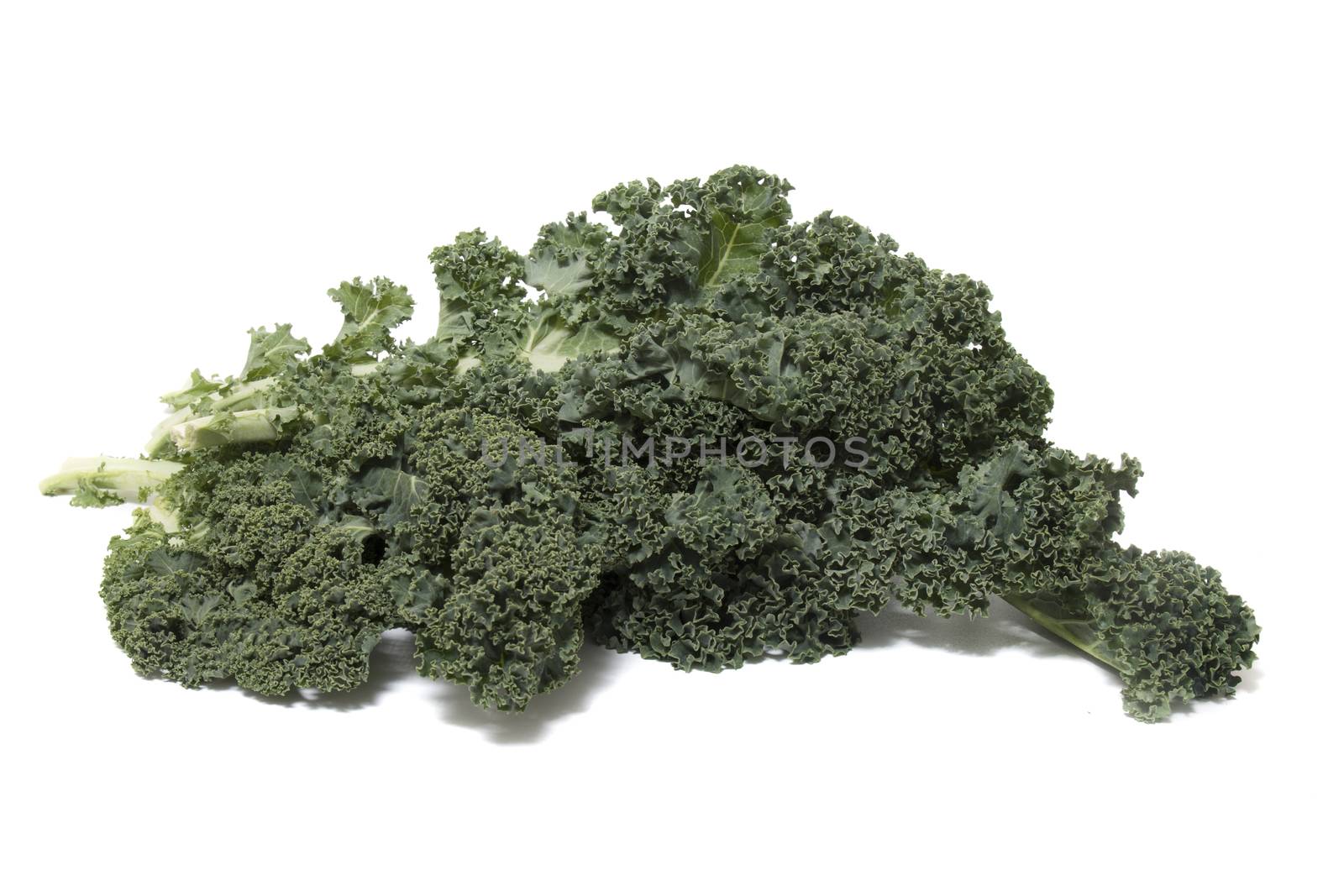 Curly leaf kale by membio