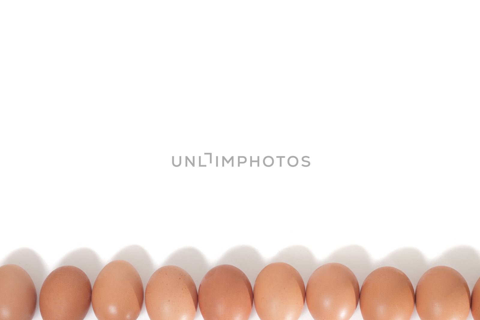 eggs aligned horizontally isolated on a white background.