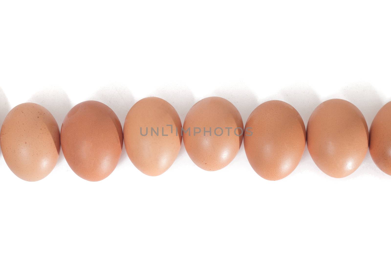 eggs aligned horizontally by membio
