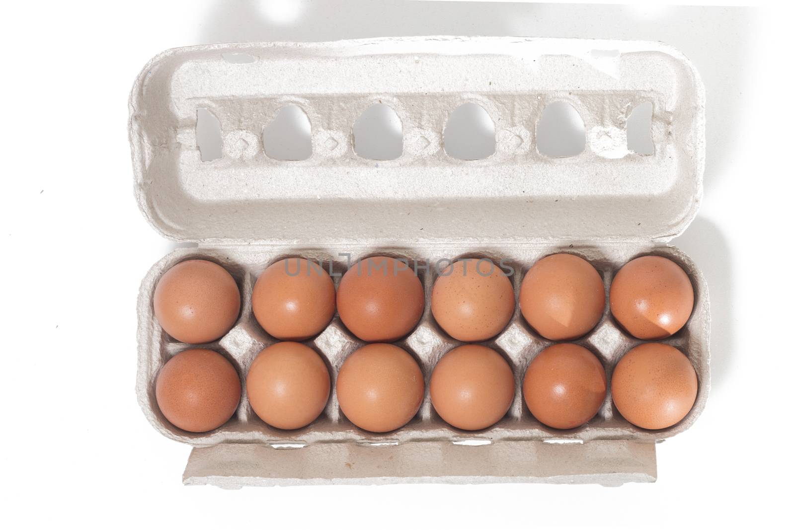 eggs inside cardboard package isolated on a white background.