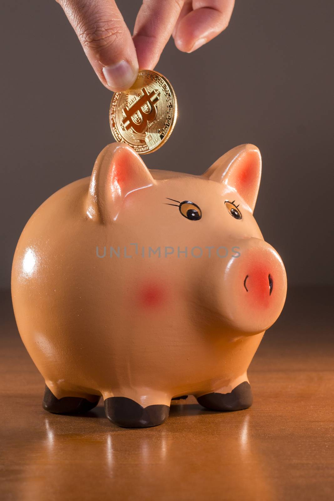 Male hand inserting bitcoin on porcelain piggy bank.
