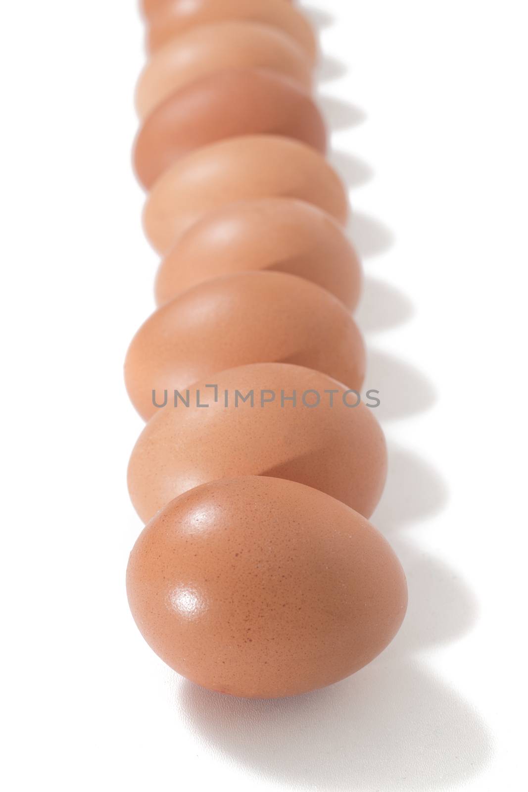 Many eggs aligned isolated on a white background.