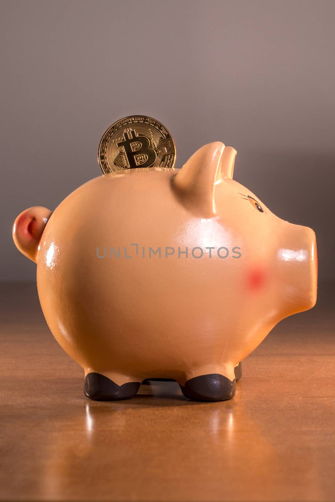Piggy bank with bitcoin by membio