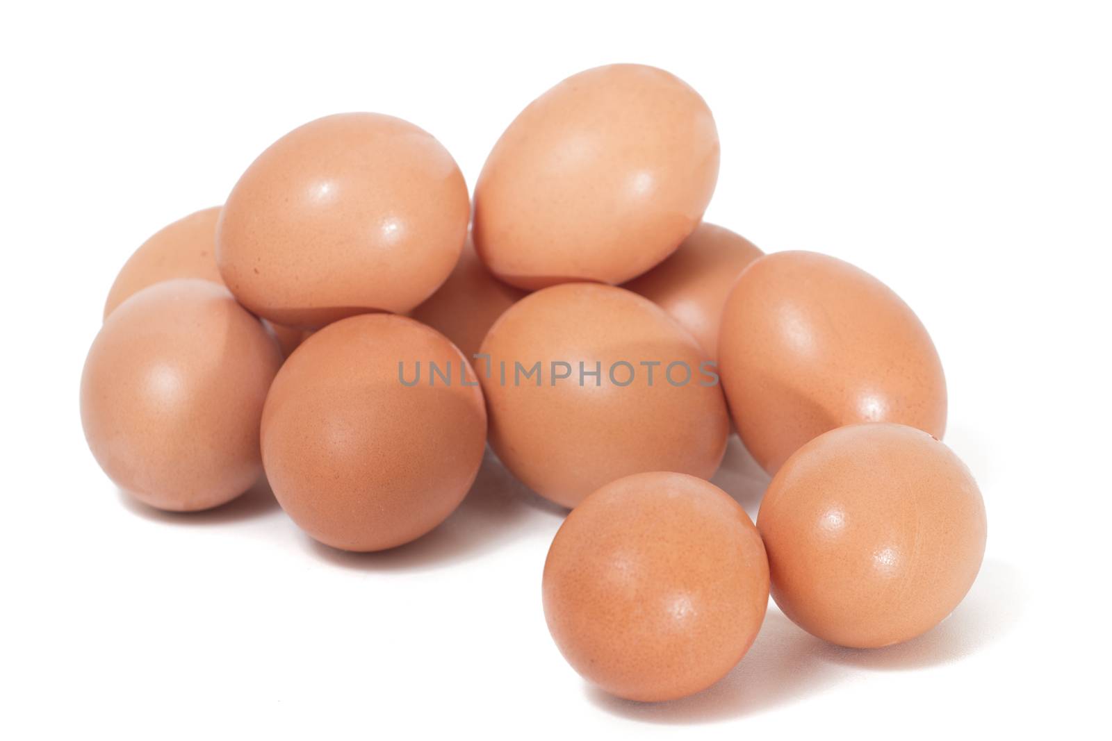 pile of chicken eggs by membio