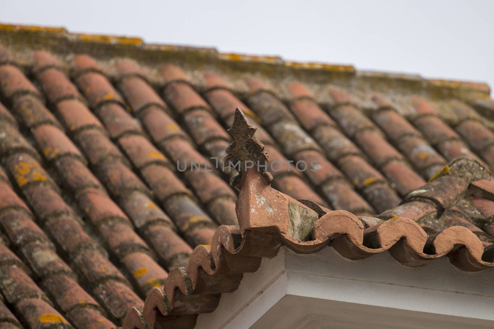 View of a typical Portuguese red tile roof.