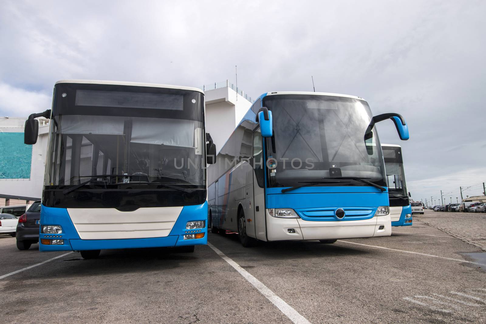 View of several blue and white Buses parked in the city.