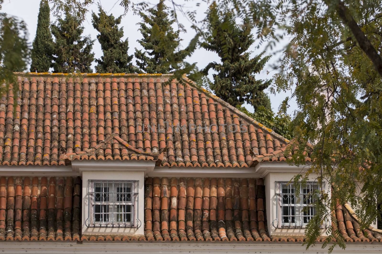 Portuguese red tile roof by membio
