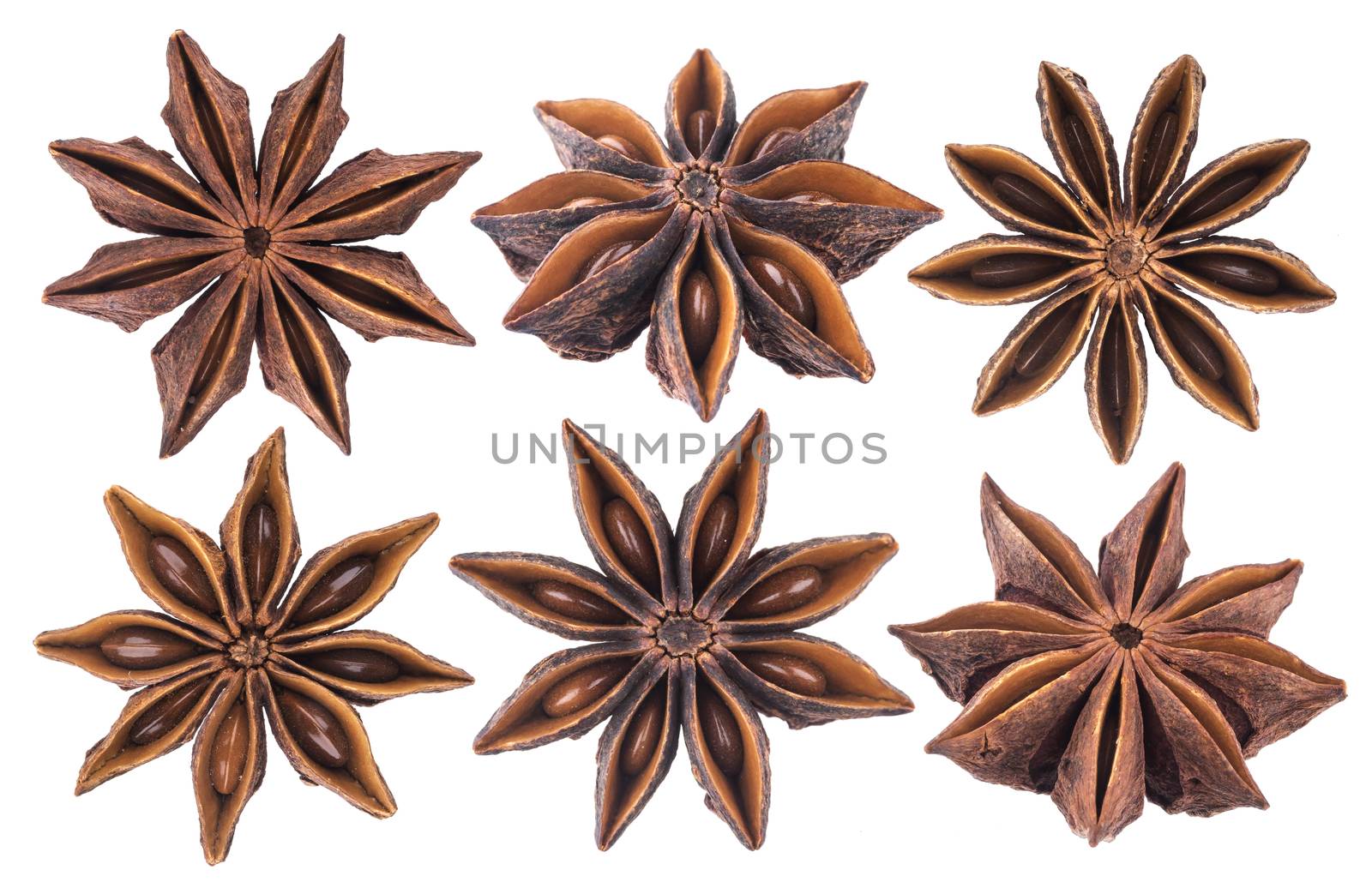 Star anise spice isolated on white by xamtiw