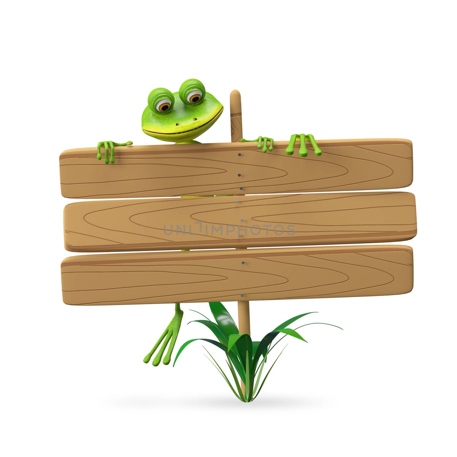 3D Illustration Frog with Wooden Plaque on a White Background