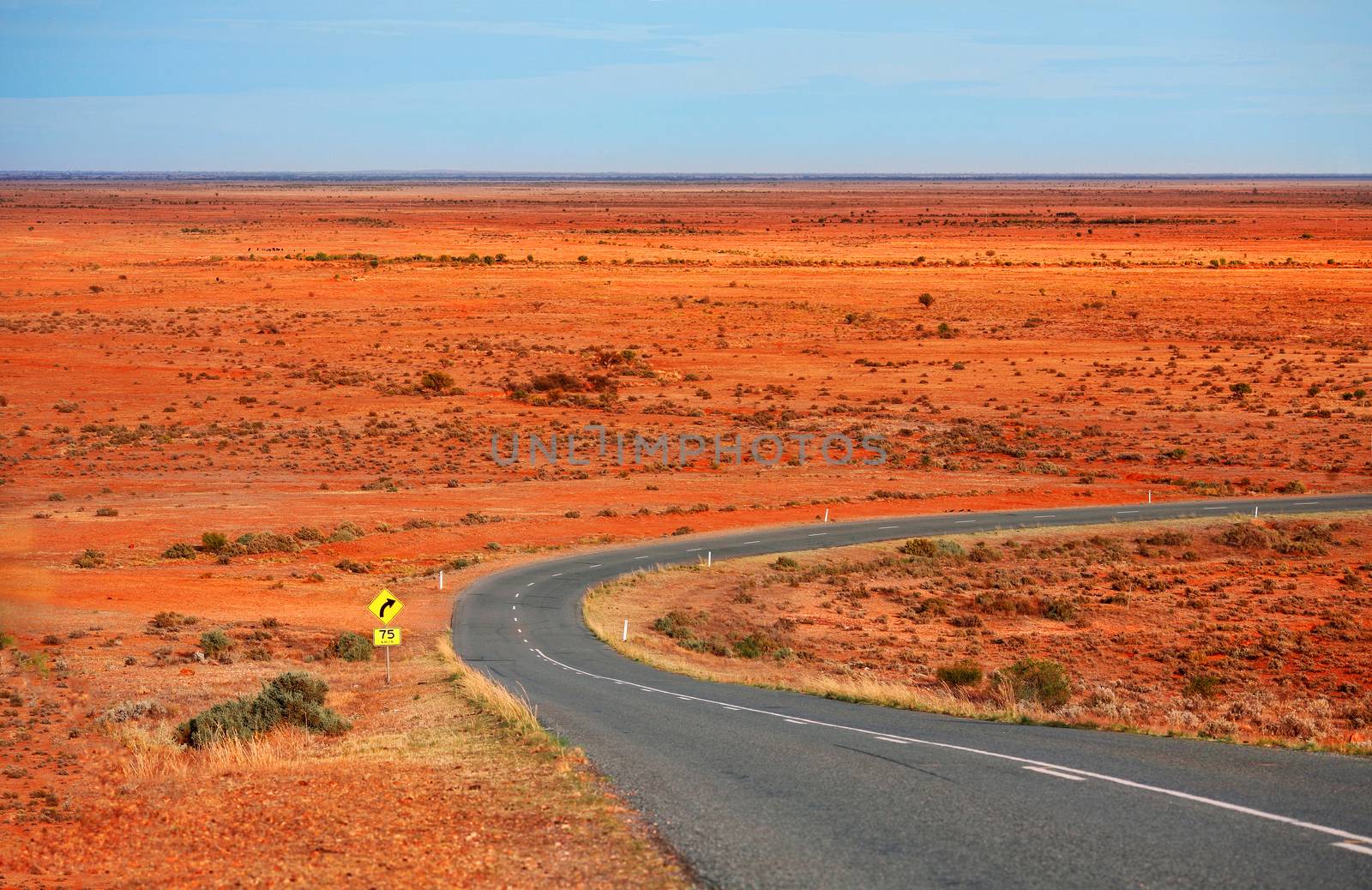 Views across the Mundi Mundi plains in Central Australia. Deep red sands and heavy cracking clays host mainly saltbush  blue bush, Kochias, Bassias, Enchylænas note the absence of trees except along the few water courses they can be found.