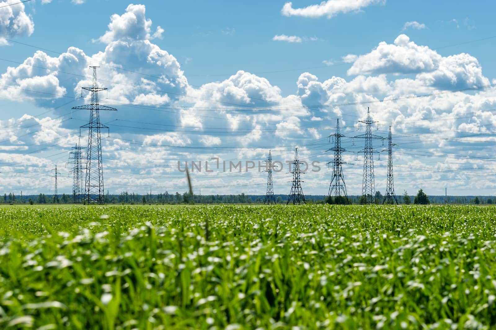 High voltage transmission tower lines on countryside in summer day