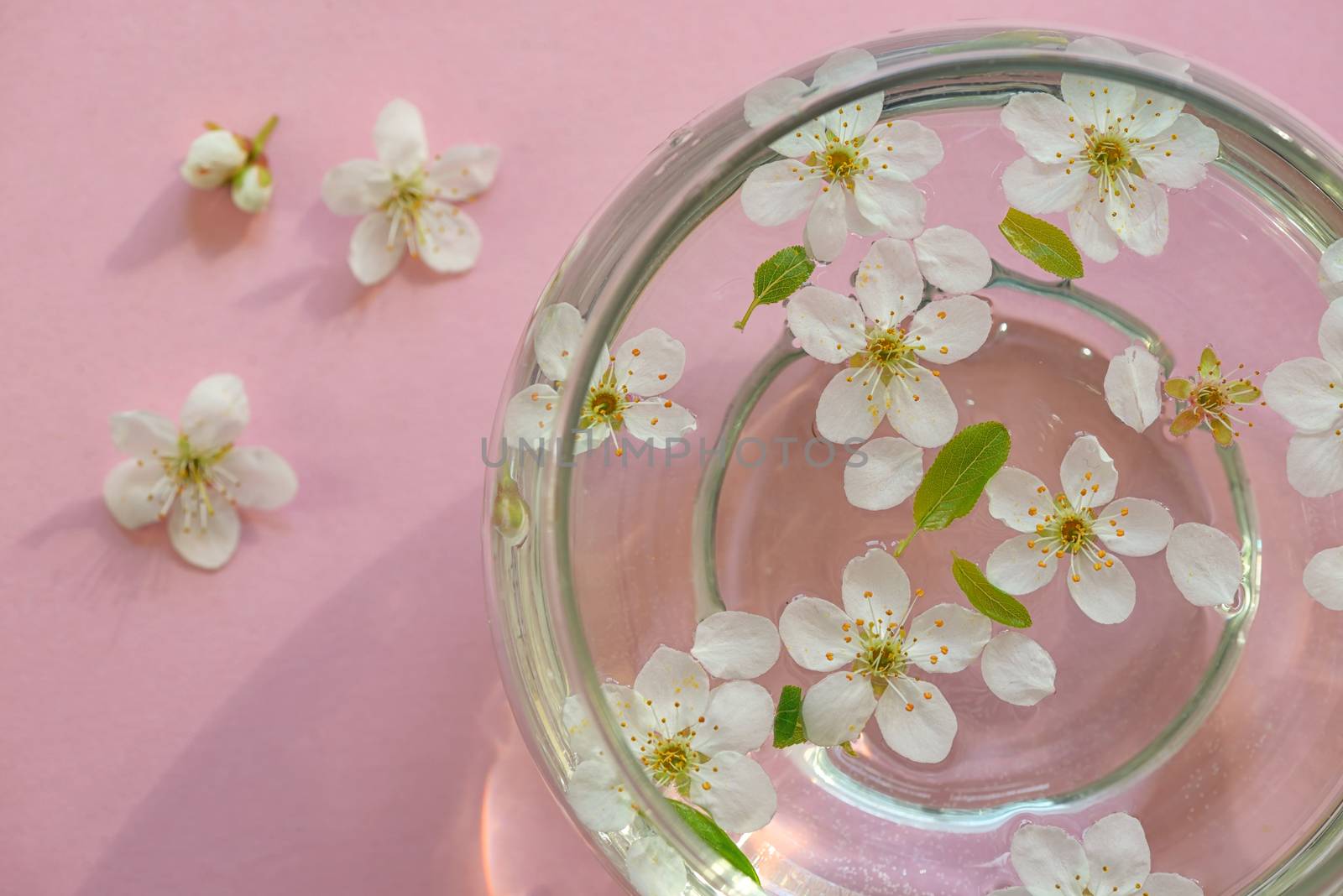 Spring flowers in bowl of water