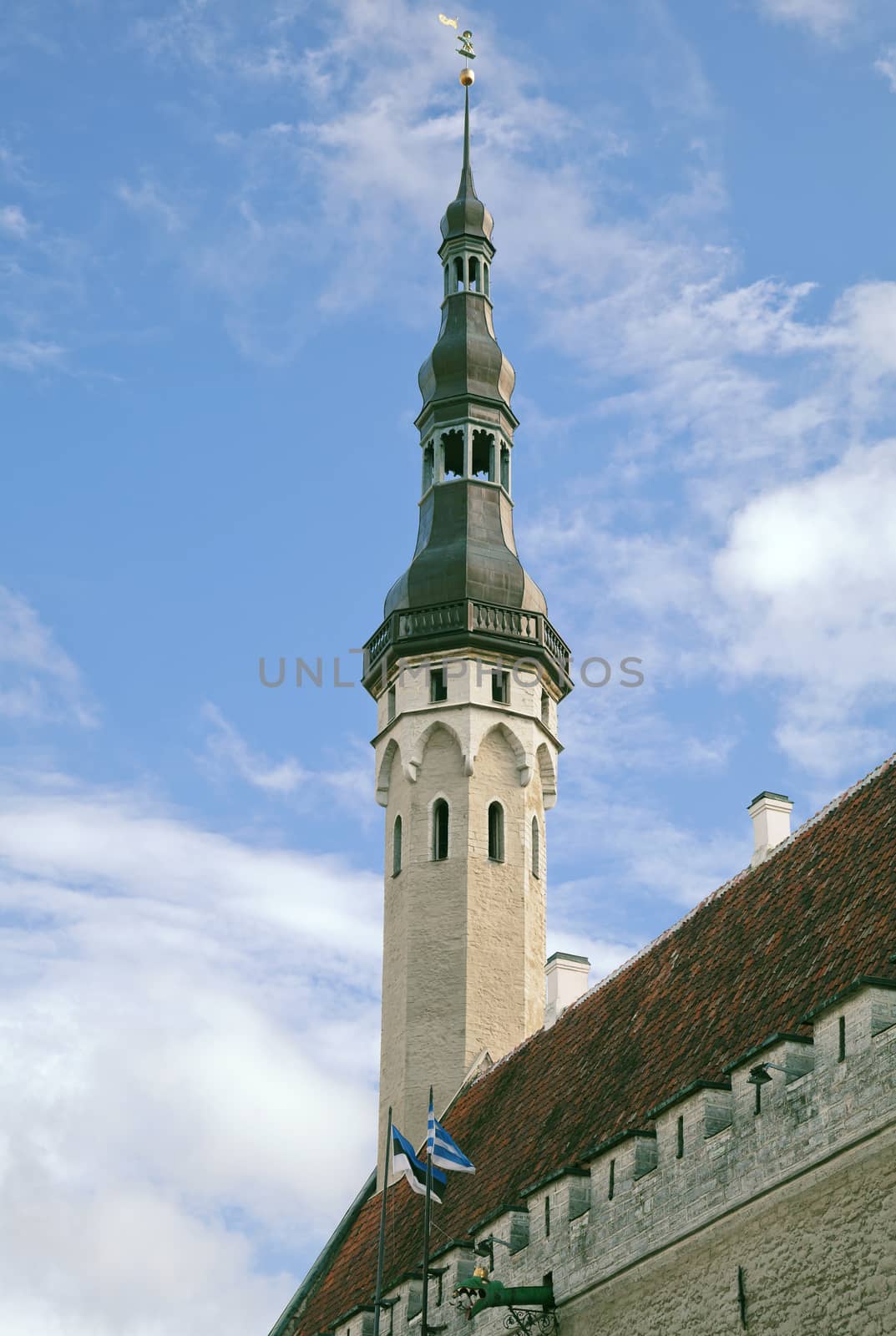Tower of Tallinn town hall in Estonia