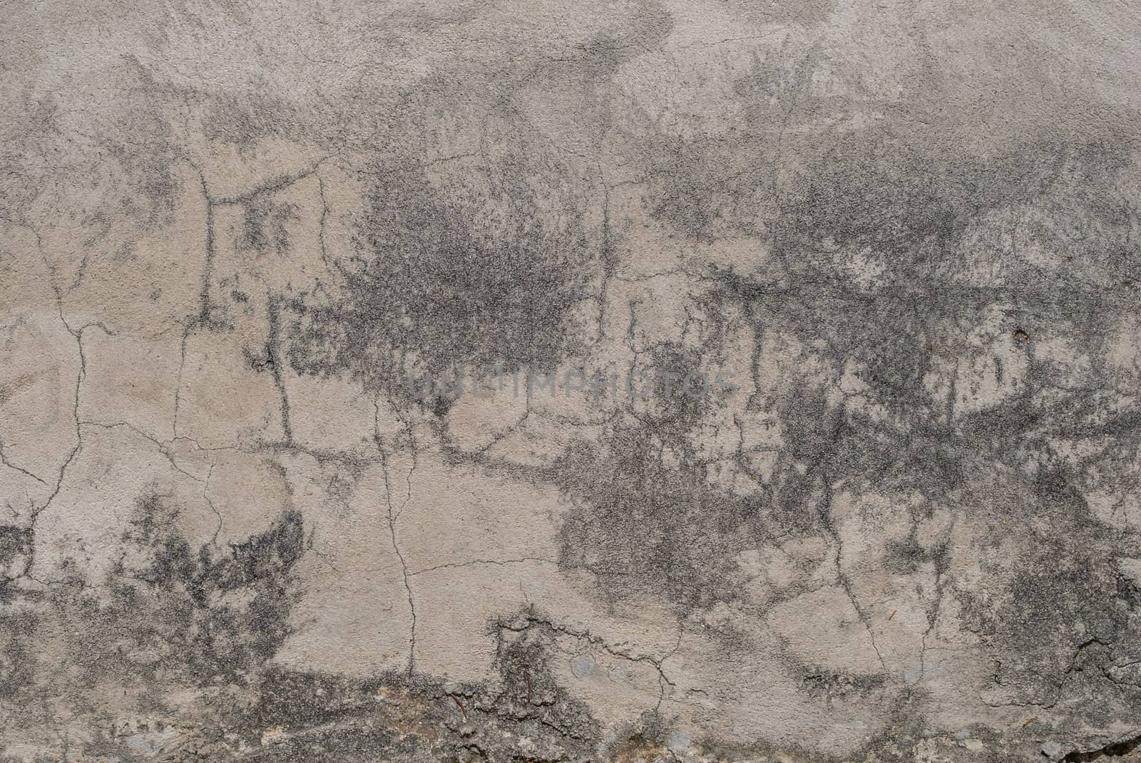 cracks in old plaster wall, chipped paint, landscape style, gray background, texture by uvisni