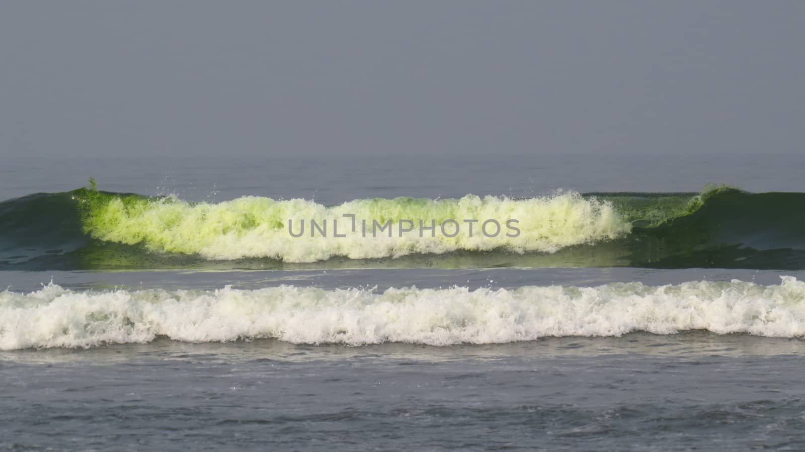 Beach waters with fluorescent green color due to algae and pollution caused by humans.