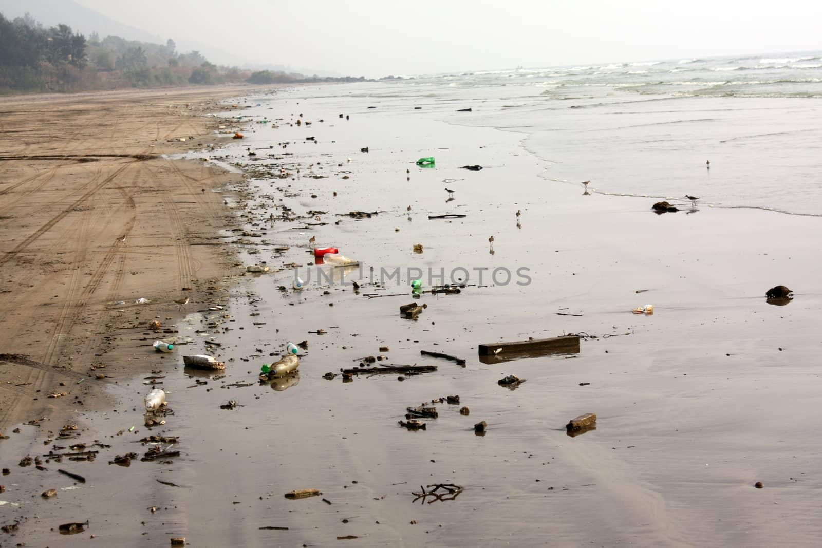 A beach which has thrown up all the tourist garbage during a high tide.