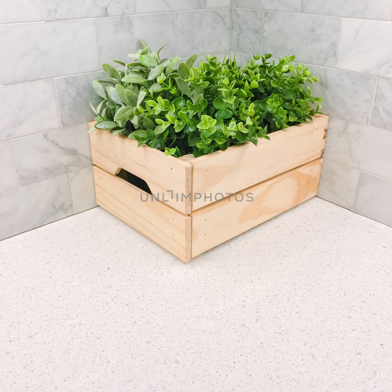 Green plant in a wooden box in the corner of a kitchen countertop. Home decor.