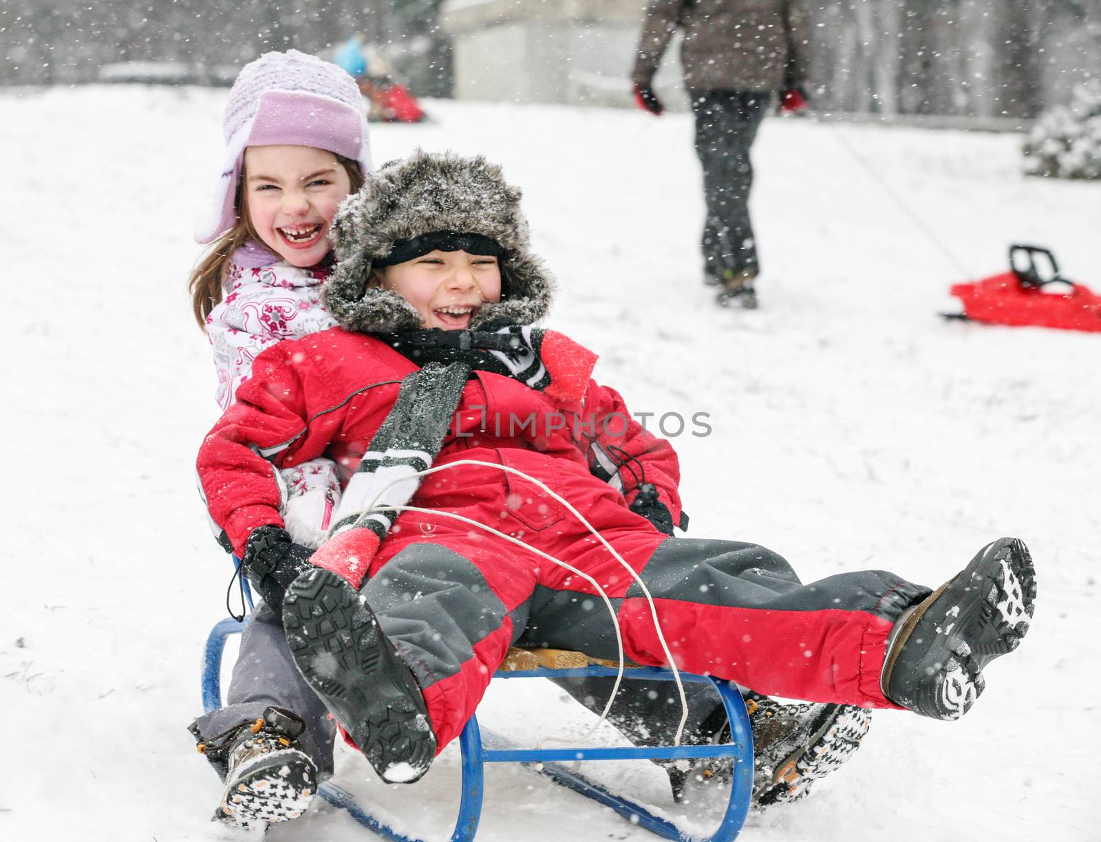 Kids Sledding Fun Snow by vilevi