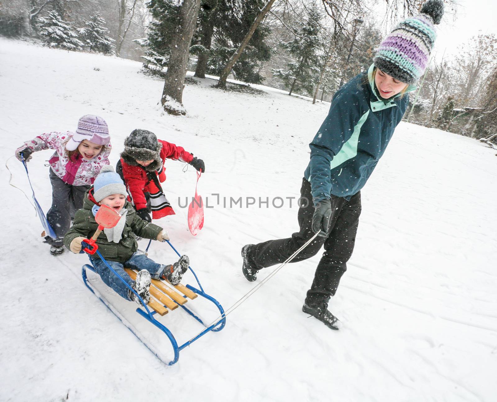 Mother is playing with kids in the snow with sled in cold winter day.