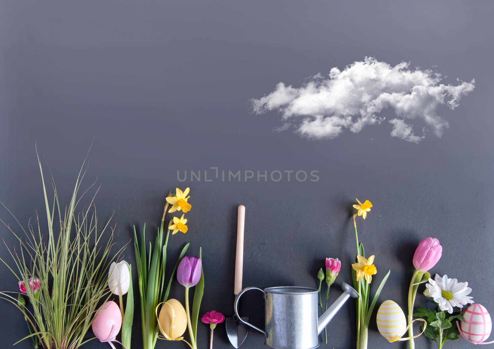 Easter flower garden background with daffodils and painted eggs laid flat on a chalkboard background
