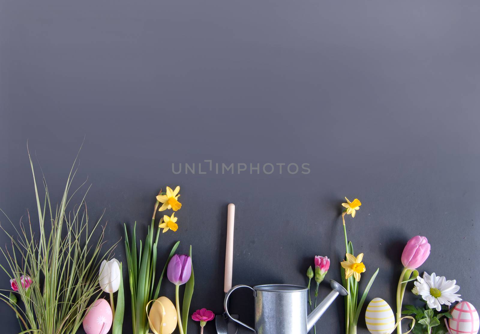 Easter flower garden background with daffodils and painted eggs laid flat on a chalkboard background