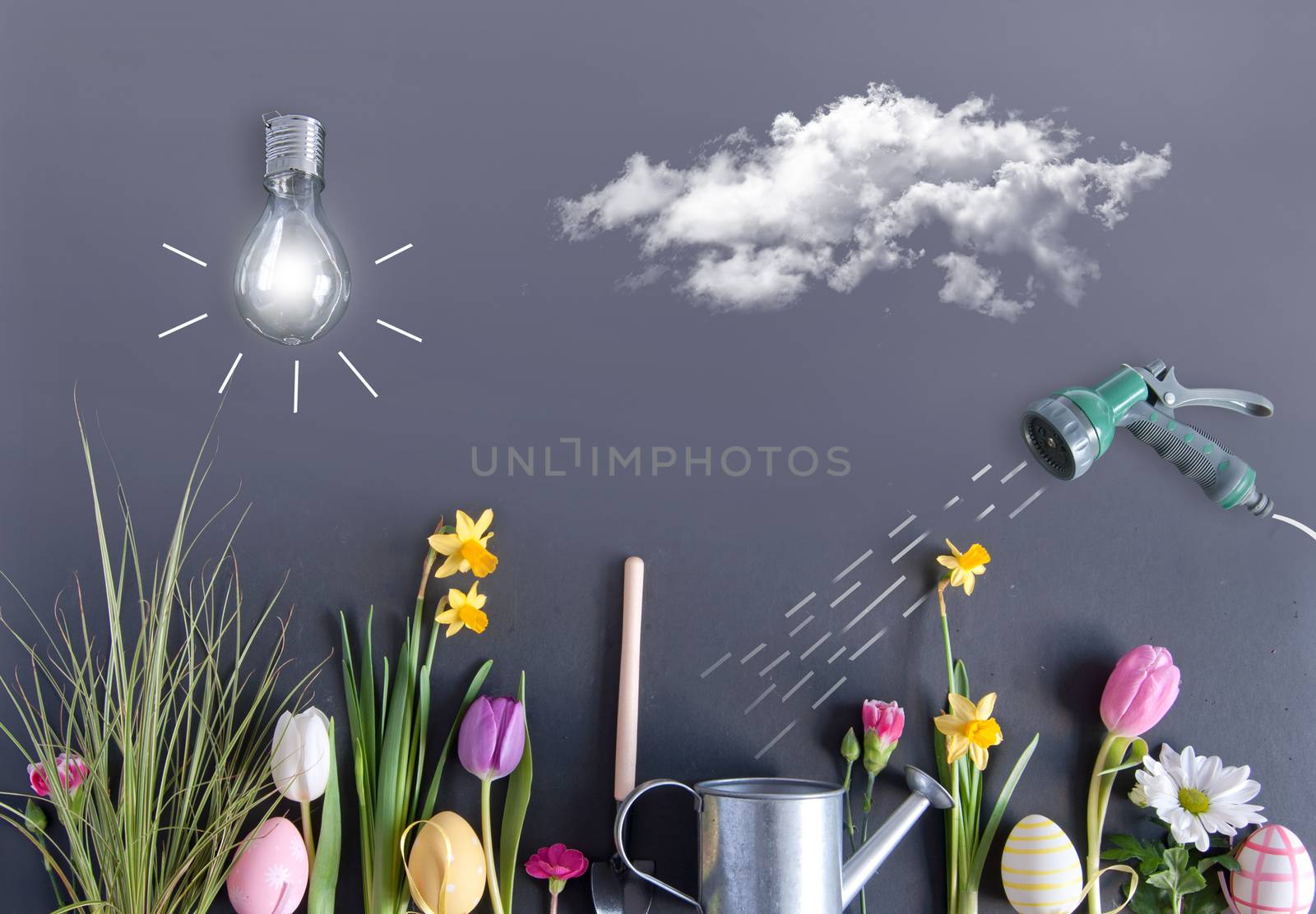 Easter flower garden with daffodils and painted eggs laid flat on a chalkboard background