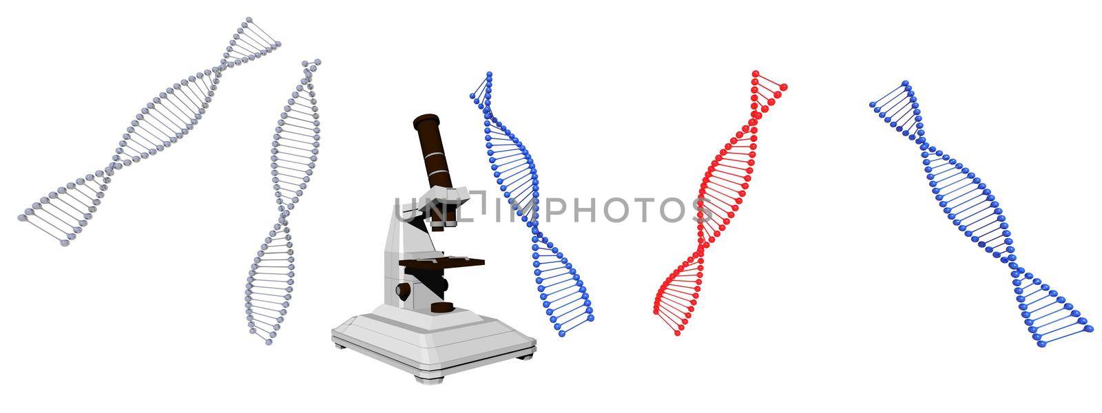 dna symbol blue and red on it isolated in white background - 3d rendering