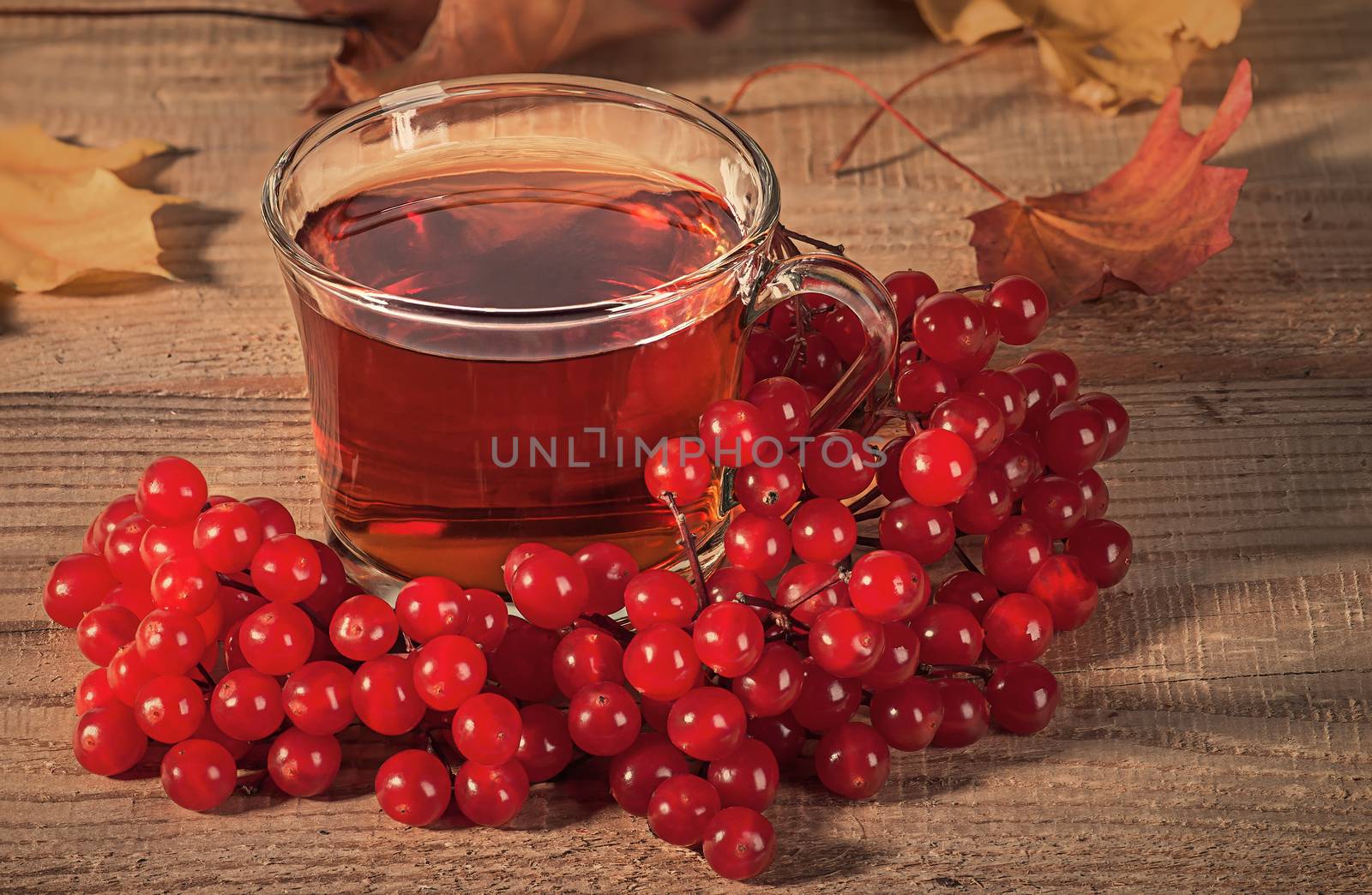 Black tea with a viburnum. Berries of a viburnum and autumn maple leaves on a wooden table. A glass cup of tea.