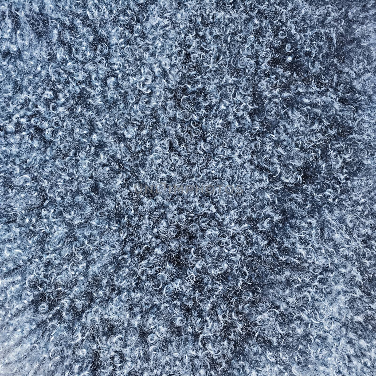 Soft gray sheepskin texture by anikasalsera