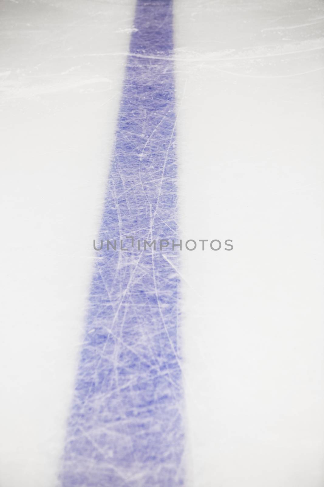 detail blue line on ice hockey rink