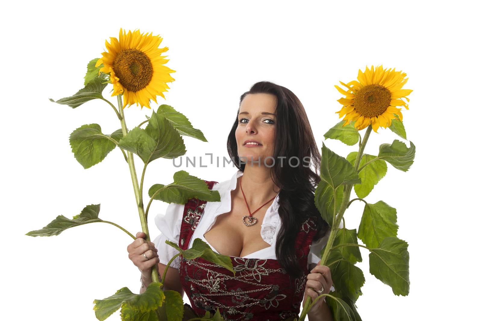bavarian woman in a dirndl with sunflowers