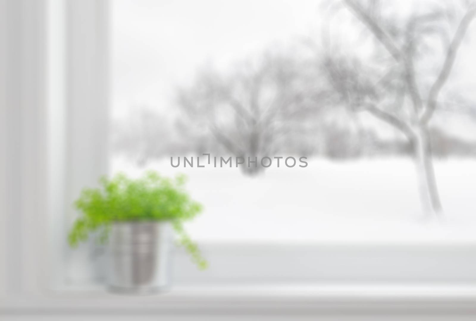 Defocused image of a green plant on a window sill, with winter landscape seen through the window. Can be used as background.