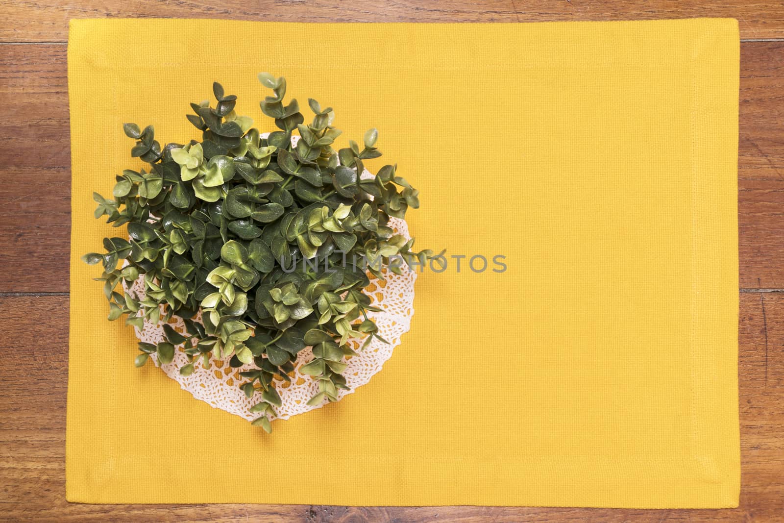 A plant on a wooden table