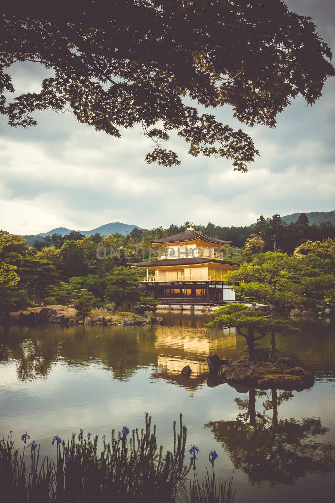 Kinkaku-ji golden temple pavilion in Kyoto, Japan