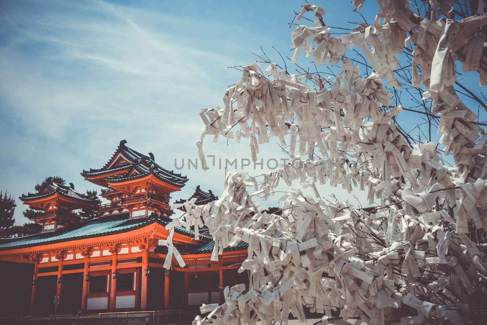 Omikuji tree at Heian Jingu Shrine temple, Kyoto, Japan by daboost