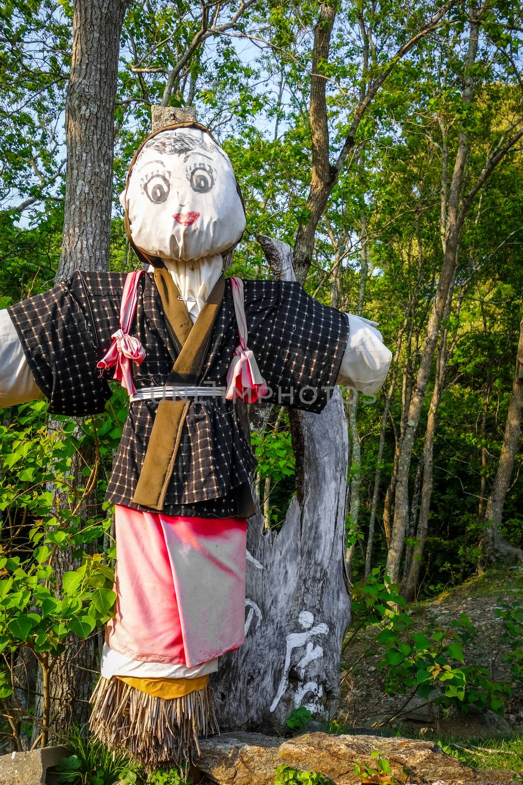 Japanese scarecrow in Nara Park, Japan by daboost