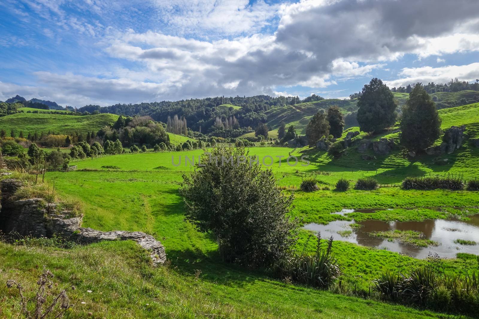 New Zealand countryside landscape by daboost