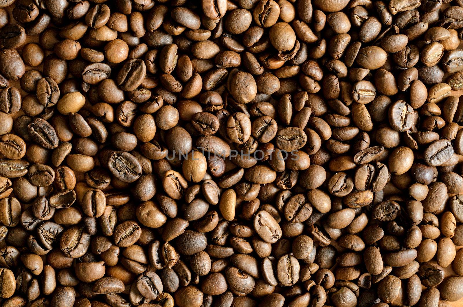 Coffee beans background.Close up.Mixture of different kinds of coffee beans.