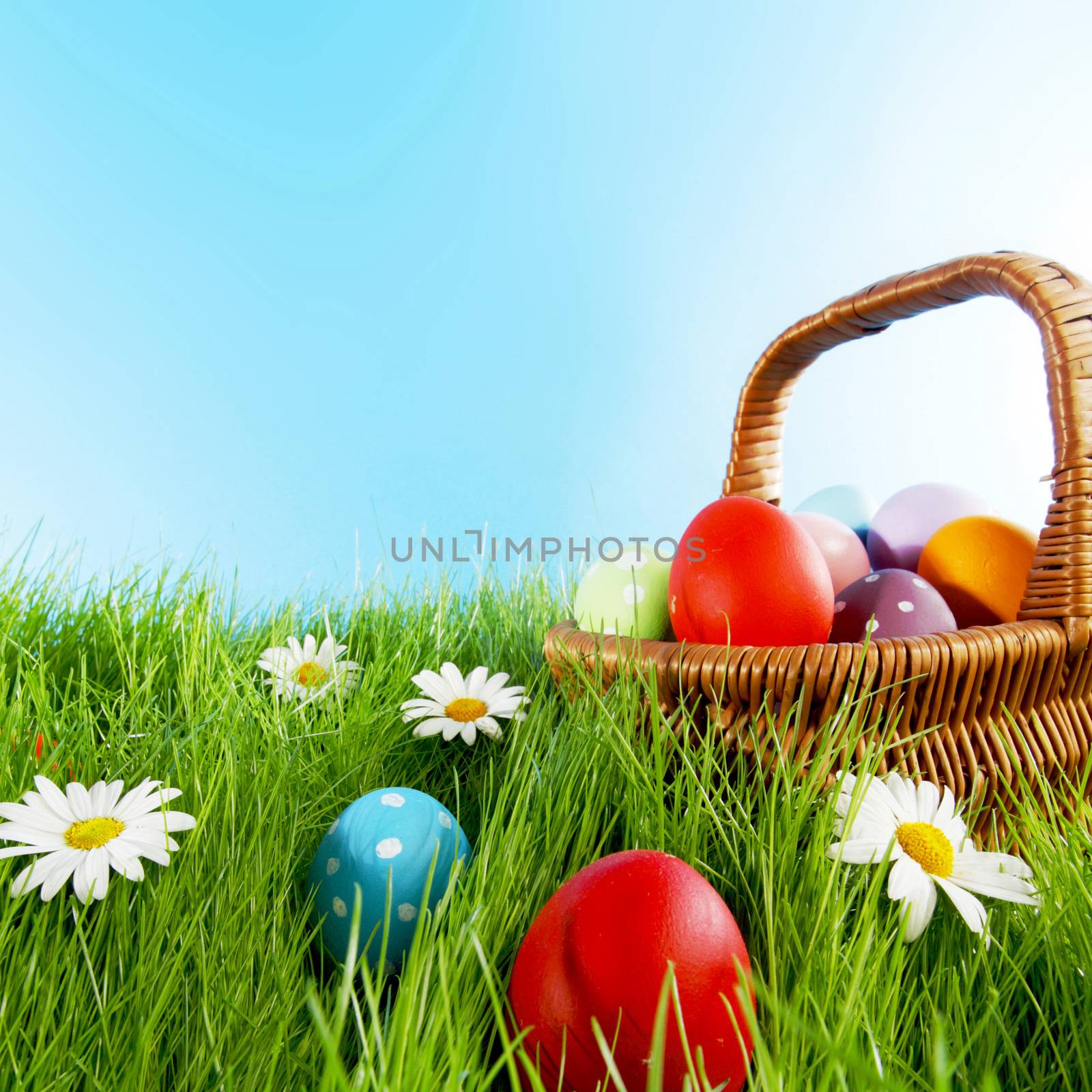 Easter basket with eggs on green meadow with flowers