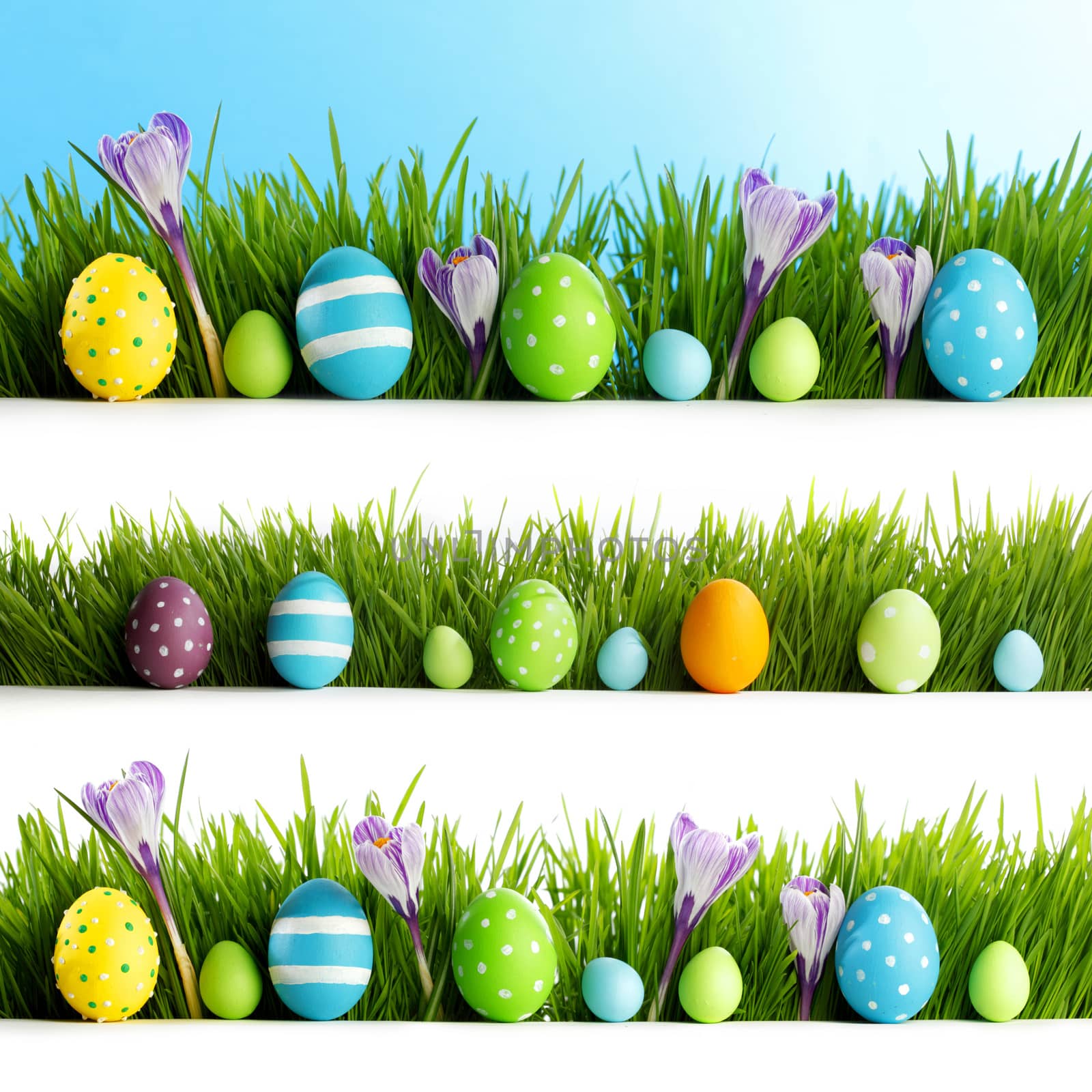 Set of easter eggs in grass by Yellowj