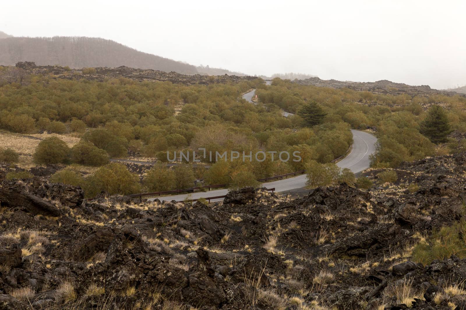 View of a unique valley on the Etna volcano by alanstix64