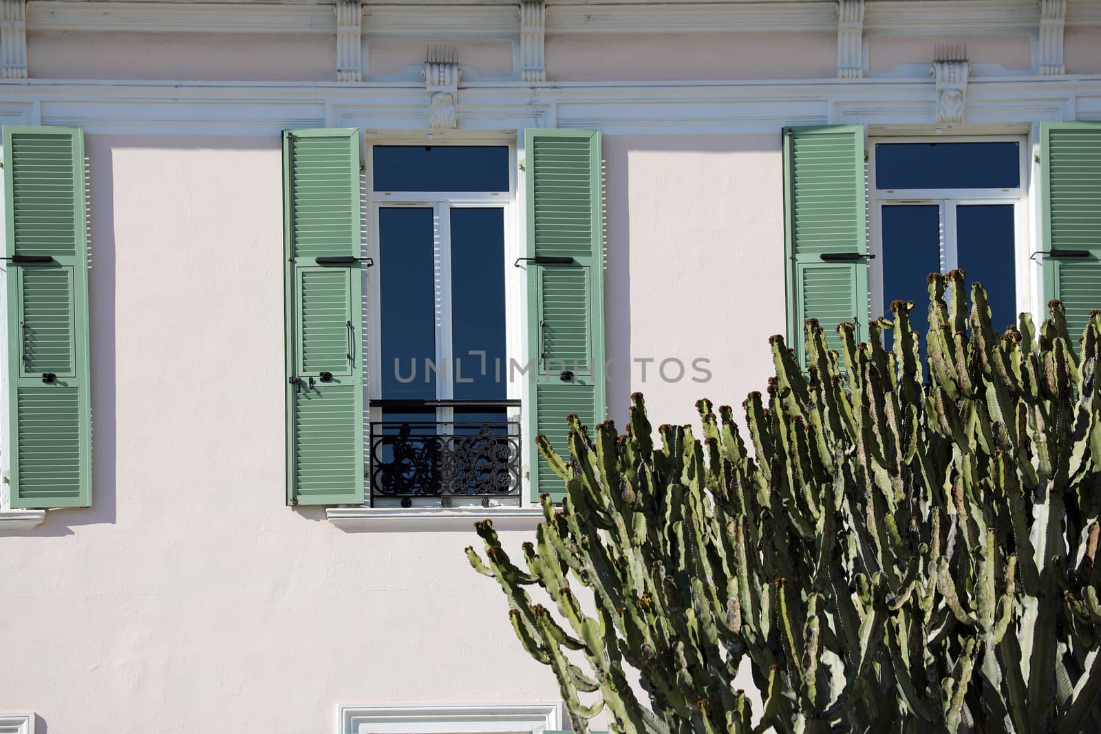 Big Cactus in Front of a House in Menton on The French Riviera